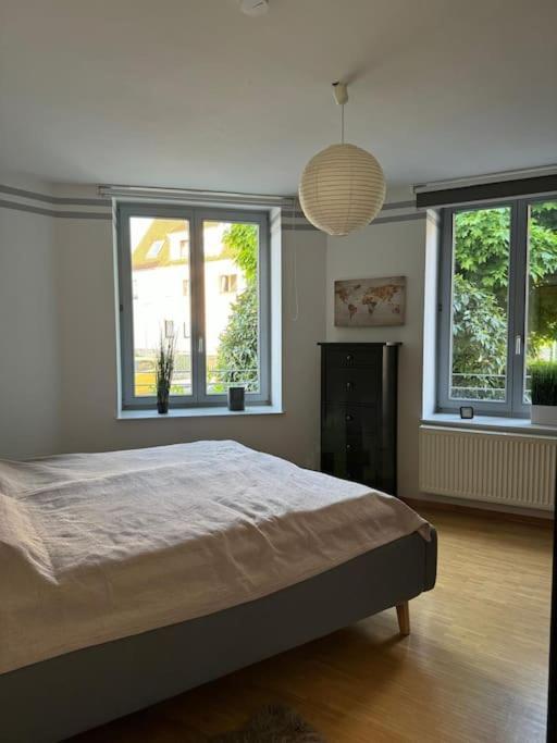 Gemuetliches Apartment Im Herzen Detmolds מראה חיצוני תמונה